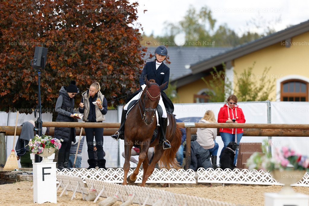 09_2-094-DRESSUR  S_  -StoibPH-5863 | working equitationturnier fotograf videograf stoibphotography marixx film working equitation deutschland reitsport turnierfotografie eventfotografie equestrian events