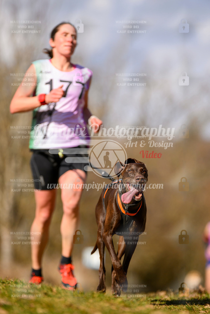 MompixPhotography_10Schwabentrail2026_SO_Canicross-74 | PayLife