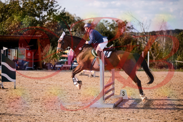 2026_10_03_Siefer-Hof_160627_Z81_88012867 | Professionelle Reitsport-, Turnier- und Eventfotografie von Robert Broda. Galerien mit ausgewählten und bearbeiteten Bildern direkt online ansehen und bestellen.