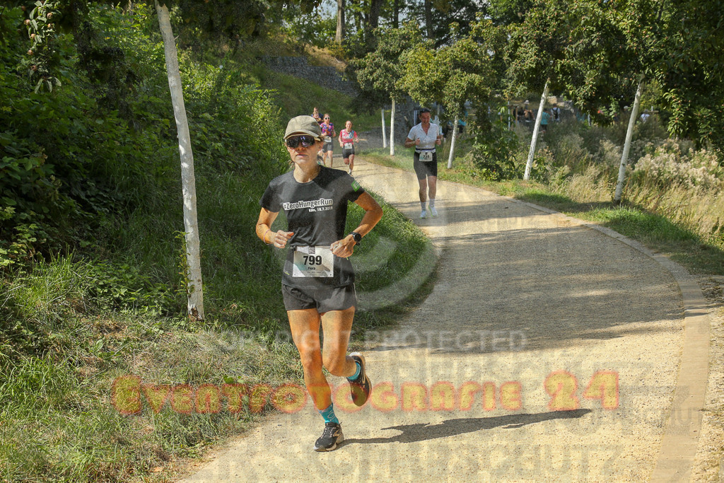 250824_1449_EX1_7675 | Sportfotografie im Rhein-Sieg Kreis, Köln, Bonn, NRW, Rheinland Pfalz, Hessen, etc. Unser Tätigkeitsfeld umfasst den Laufsport vom Volkslauf über den Marathon, Duathlon, Triathon bis zum Ultralauf wie Kölnpfad Ultra oder Schindertrail.