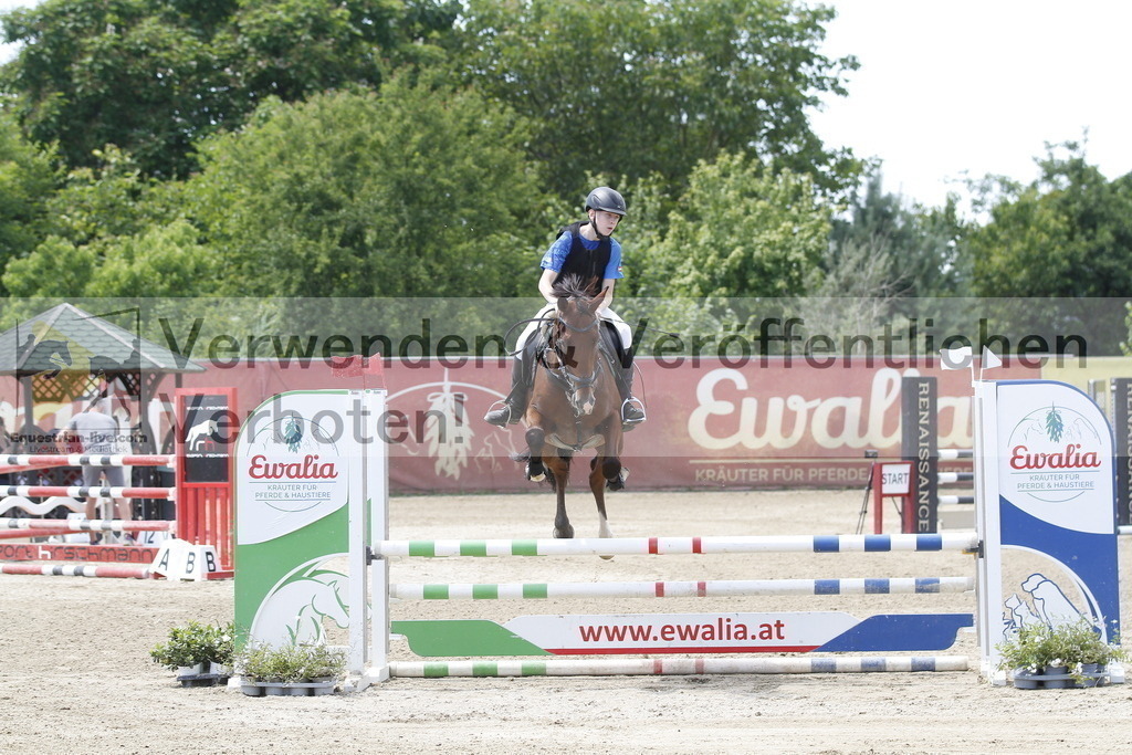 _MG_5517 | equestrian-live-com