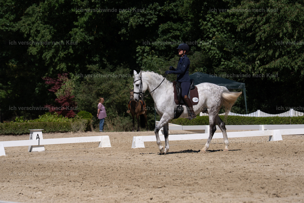 WS_DR_139_sinafilmart_IN03639 | working equitationturnier fotograf videograf stoibphotography marixx film working equitation deutschland reitsport turnierfotografie eventfotografie equestrian events
