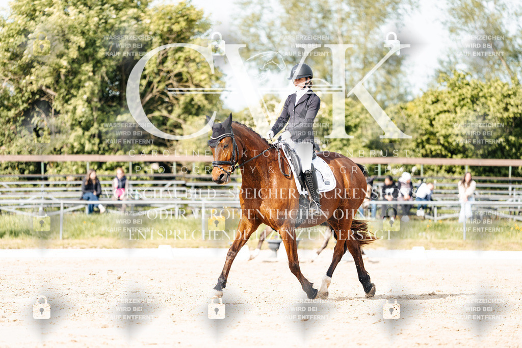 CK900419 | Turnierfotografie Pferdefotografie Trier Rheinland-Pfalz Pferdesport Reitsport Tierfotografie Sportfotografie Pferdevideo Pferdevideografie Equestrianvideography equestrianphotography  - Realisiert mit Pictrs.com
