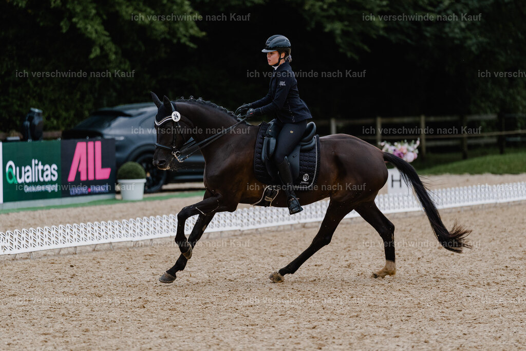 Leonie24_FHC2025-10 | working equitationturnier fotograf videograf stoibphotography marixx film working equitation deutschland reitsport turnierfotografie eventfotografie equestrian events