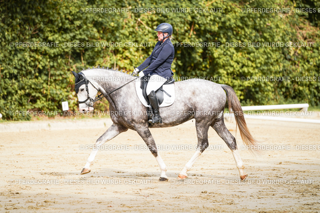 DSC01660 | Pferdegrafie