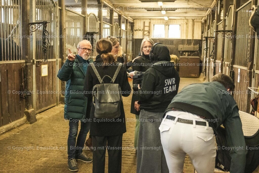 20240302_Hengstvorstellung_Marbach_TOMsPiC_0043 | equistock
