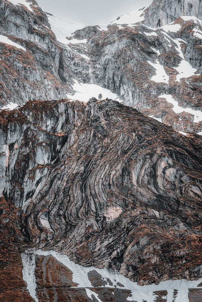 Die Grösse des Lebens | Der Baum zeigt das Grössenverhältniss zum Berg. Auf der Bannalp. - Realisiert mit Pictrs.com