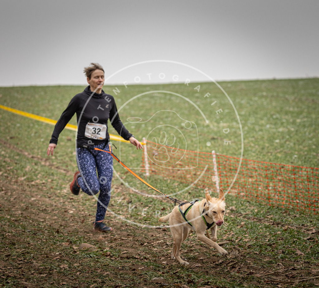 Pfotenfotografie_DV3A4930 | Hundefotografie, Tierfotograf, Pfotenfotografie, Fotoshooting Hund, Hunde Portrait, Hundesport, Hundeportraits, Heideshooting, Hunde, Sportfotograf, Hundefotograf, Turnierhundsport, THS,  - Realisiert mit Pictrs.com