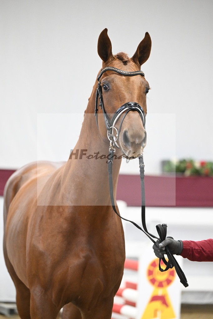 Kat-Nr. 82 Orient Express ES x Dibadu L_Markus Denzel_47252608 | hf-fotografie - Realisiert mit Pictrs.com