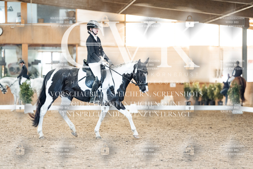 CK907639 | Turnierfotografie Pferdefotografie Trier Rheinland-Pfalz Pferdesport Reitsport Tierfotografie Sportfotografie Pferdevideo Pferdevideografie Equestrianvideography equestrianphotography  - Realisiert mit Pictrs.com
