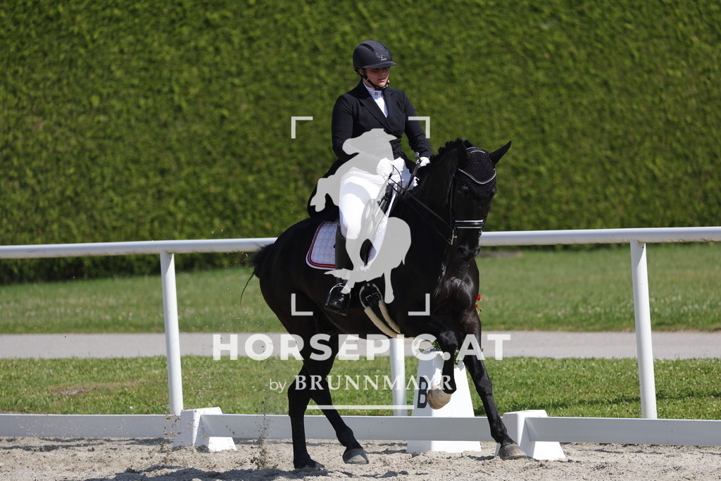 0P6A2995 | Willkommen bei Brunnmayr - Design & Fotografie – Ihrem Spezialisten für Reitturniere und Pferdeveranstaltungen in Oberösterreich, Salzburg und Bayern! Seit über 17 Jahren sind wir leidenschaftlich dabei.