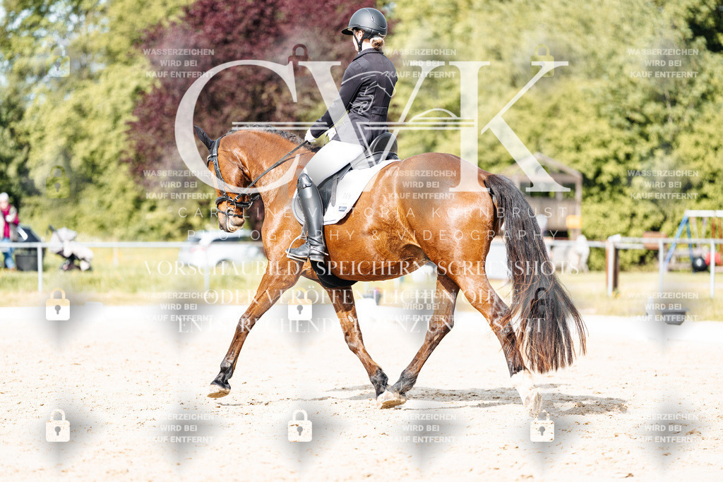 CK900477 | Turnierfotografie Pferdefotografie Trier Rheinland-Pfalz Pferdesport Reitsport Tierfotografie Sportfotografie Pferdevideo Pferdevideografie Equestrianvideography equestrianphotography  - Realisiert mit Pictrs.com