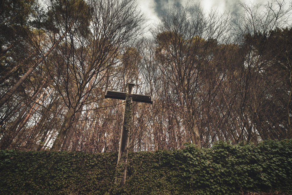 _DSC0547 | die schönsten Bilder aus Wald und Wiese, sowie Streifzüge durch den Garten mit der gesamten Blumen & Insektenwelt.   - Realisiert mit Pictrs.com