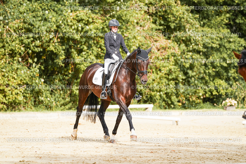 DSC02048 | Pferdegrafie