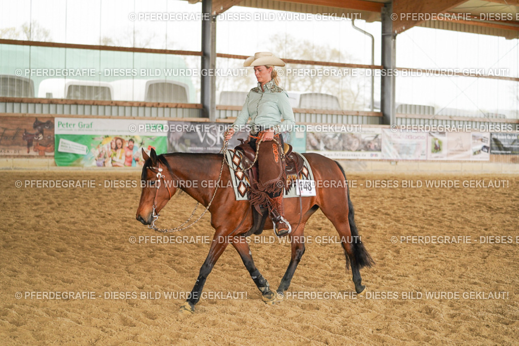 DSC05400 | Pferdegrafie