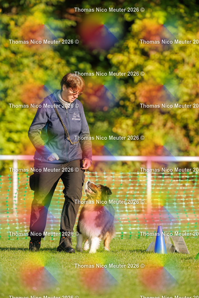 Thomas_Nico_Meuter(C)_04. Oktober 2026_223A0352 | Bild von Thomas Nico Meuter - Realisiert mit Pictrs.com