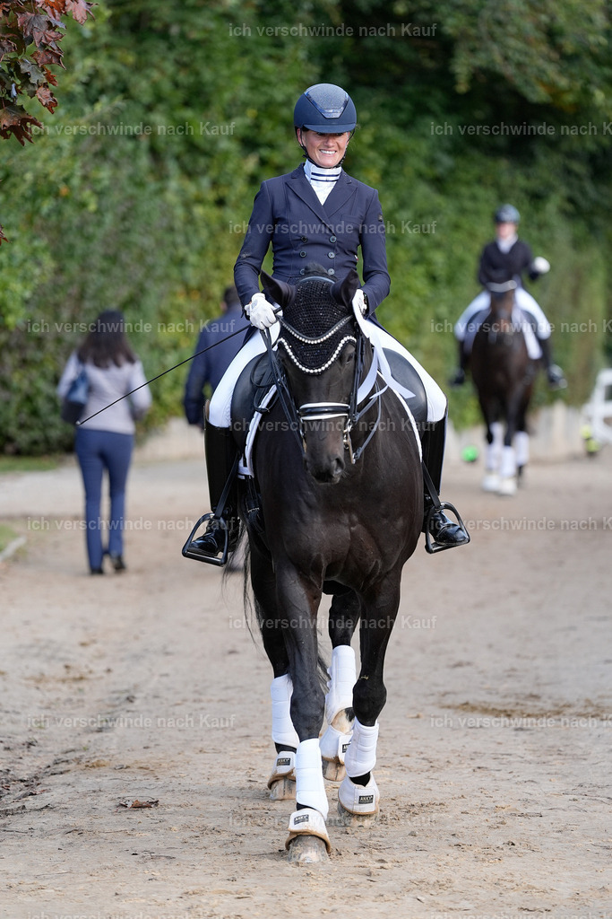 09_1-115-DRESSUR  S_  -StoibPH-5615 | working equitationturnier fotograf videograf stoibphotography marixx film working equitation deutschland reitsport turnierfotografie eventfotografie equestrian events