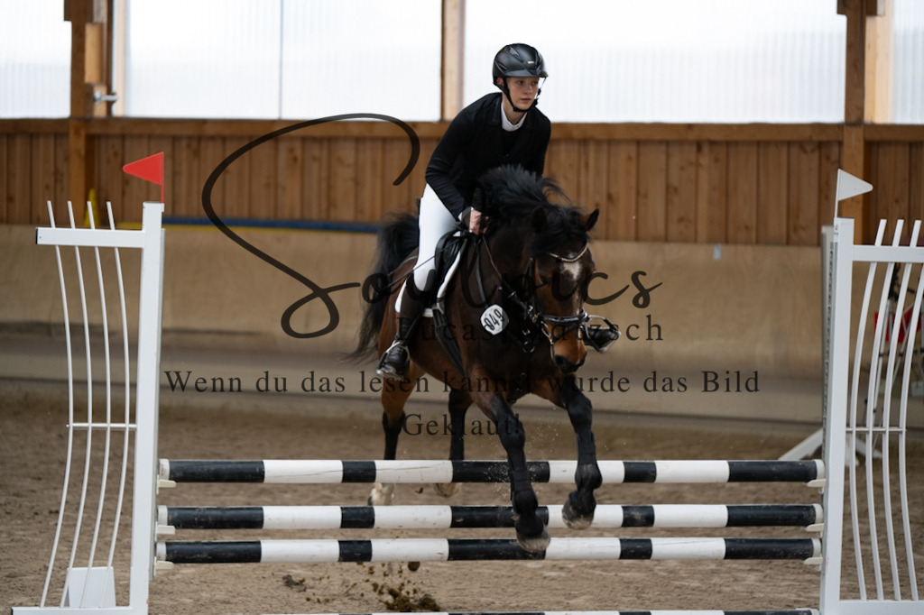 A7V00184 | Pferdefotograf