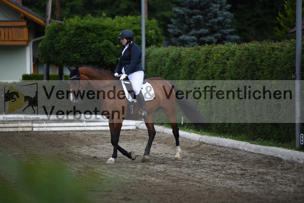 DSC_4070 | equestrian-live-com