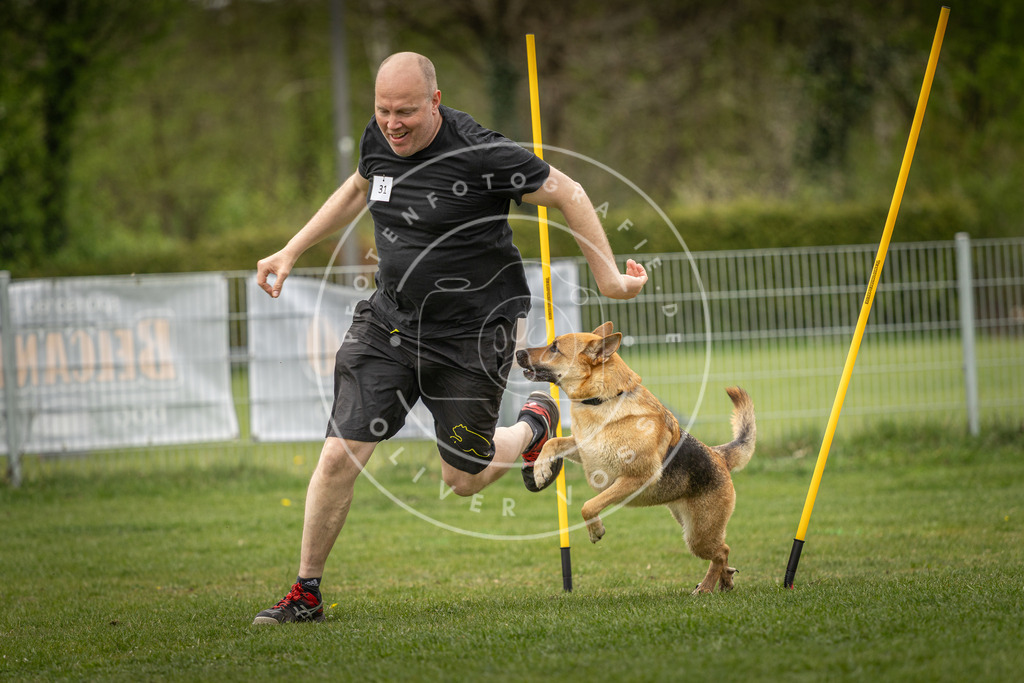 Pfotenfotografie_DV3A2219 | Hundefotografie, Tierfotograf, Pfotenfotografie, Fotoshooting Hund, Hunde Portrait, Hundesport, Hundeportraits, Heideshooting, Hunde, Sportfotograf, Hundefotograf, Turnierhundsport, THS,  - Realisiert mit Pictrs.com