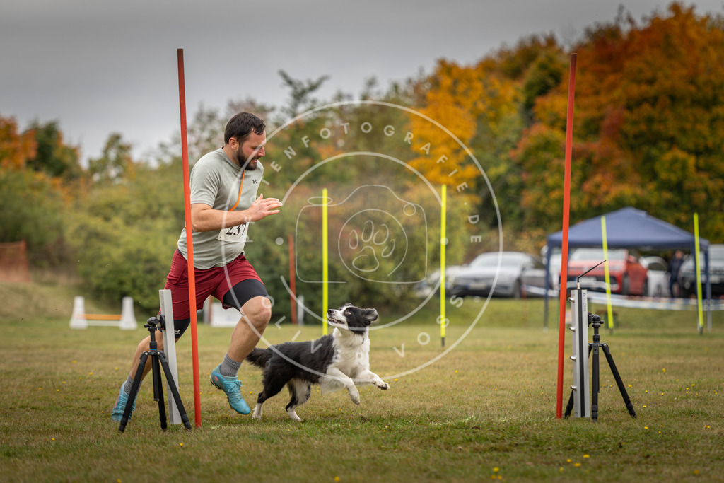 Pfotenfotografie_DV3A5304 | Hundefotografie, Tierfotograf, Pfotenfotografie, Fotoshooting Hund, Hunde Portrait, Hundesport, Hundeportraits, Heideshooting, Hunde, Sportfotograf, Hundefotograf, Turnierhundsport, THS,  - Realisiert mit Pictrs.com