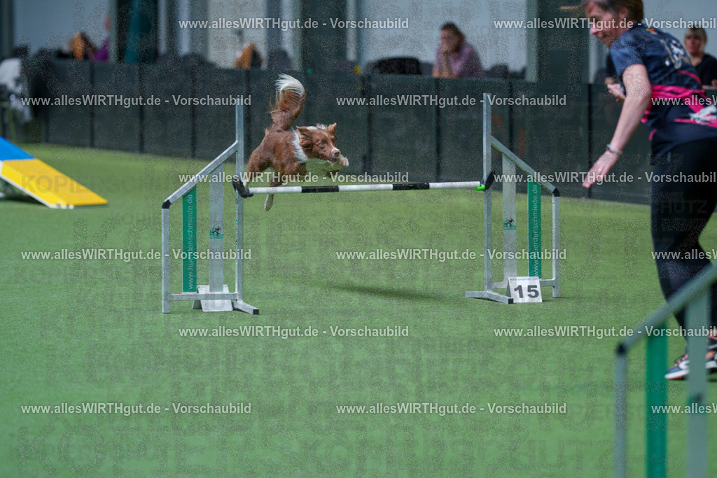 @allesWIRTHgut_Tierfotografie - www.allesWIRTHgut.de - 2604261526-7R505596 | Professionelle Tierfotografie in Mönchengladbach von Daniel Wirth (allesWIRTHgut). Liebevolle & natürliche Bilder von Hunden & Katzen für unvergessliche Erinnerungen.