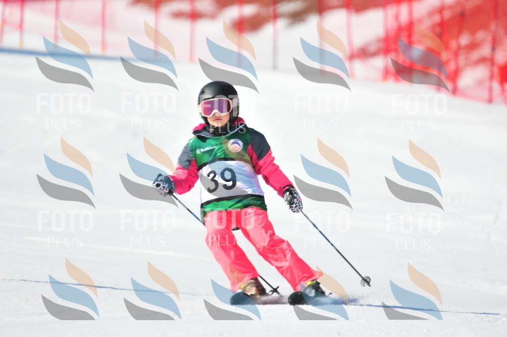 C2718 | holidayphoto