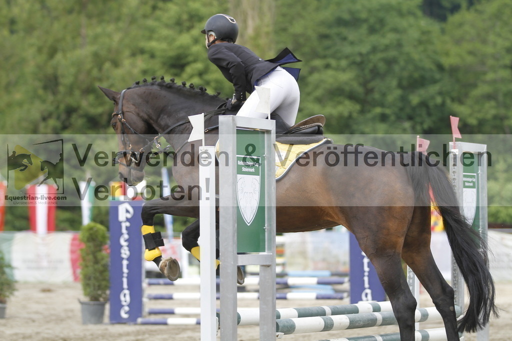 _MG_4552 | equestrian-live-com