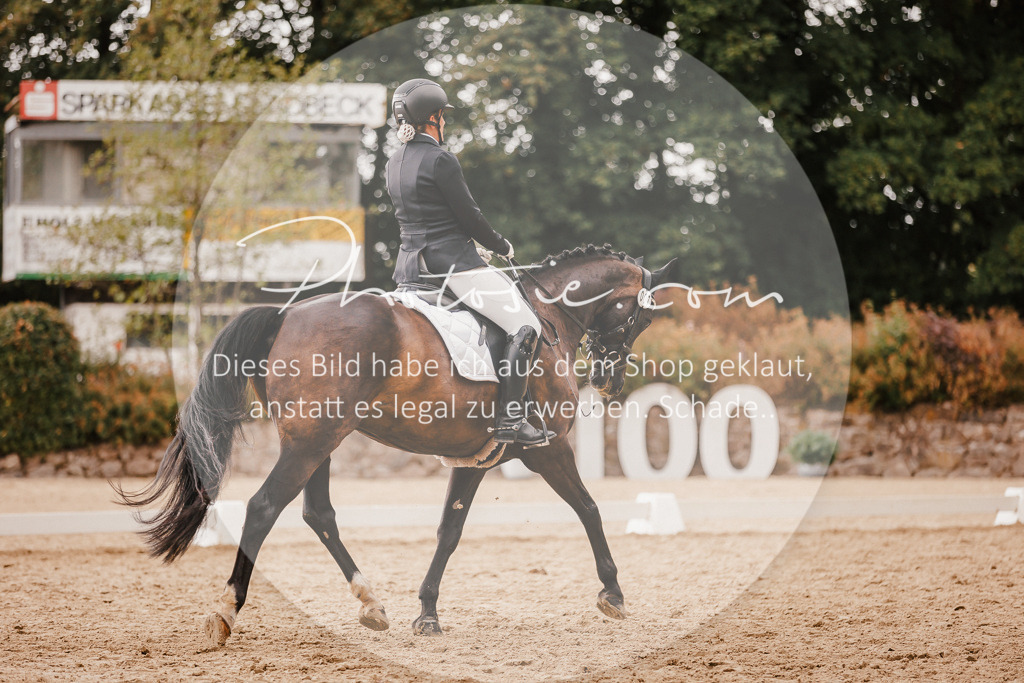 3I6A6364 | Stimmungsvolle Portraits und Reitsportfotografie im Ruhrgebiet und im Münsterland.

Pferdefotografie, Hundefotografie, Tierfotografie, Reportagen, Portraits von Tier und Mensch, Turnierfotografie in Bochum, Recklinghausen, Marl, Haltern am See, Dülmen.. - Realisiert mit Pictrs.com