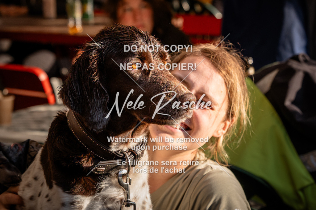 nelerasche_SaAbends_569 | nelerasche