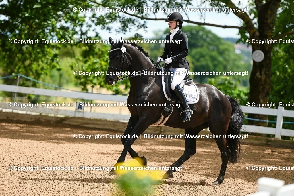 20230716_01_Dressurprüfung Kl.M_0031 | equistock