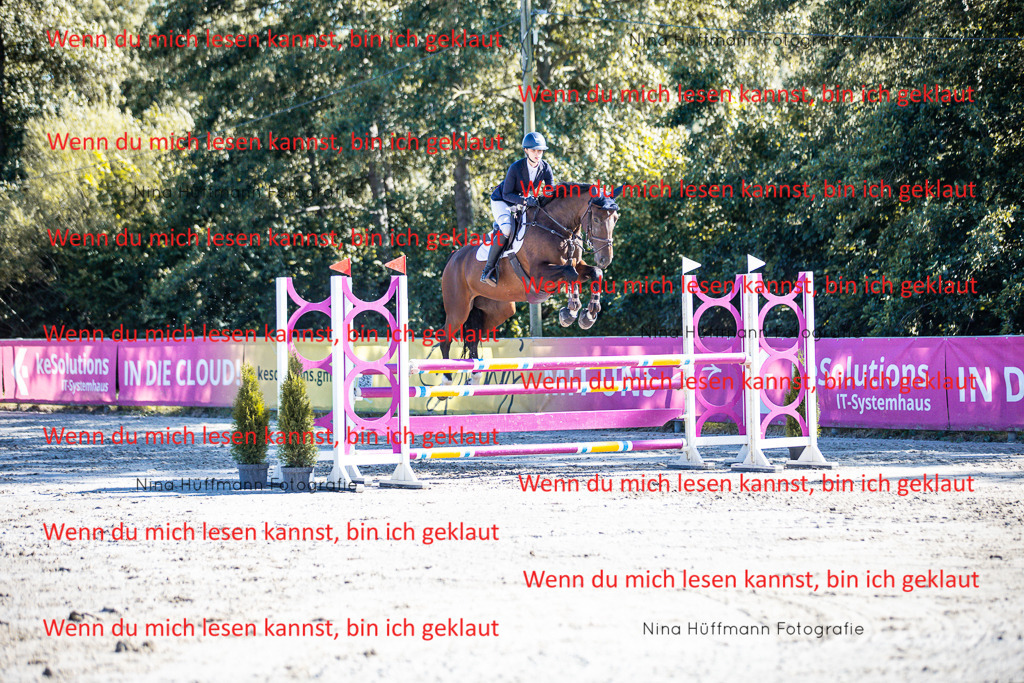 BK1A5796 | Turnierbilder Turnierfotos Nina Hüffmann Turnierfotografie Pferdefotografie Tierzeichnung Haustierzeichnung Pferdezeichnung Hundezeichnung Videograf  - Realisiert mit Pictrs.com