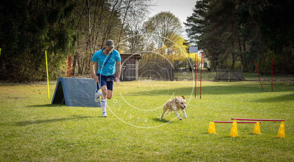 Pfotenfotografie_DV3A3818 | Hundefotografie, Tierfotograf, Pfotenfotografie, Fotoshooting Hund, Hunde Portrait, Hundesport, Hundeportraits, Heideshooting, Hunde, Sportfotograf, Hundefotograf, Turnierhundsport, THS,  - Realisiert mit Pictrs.com