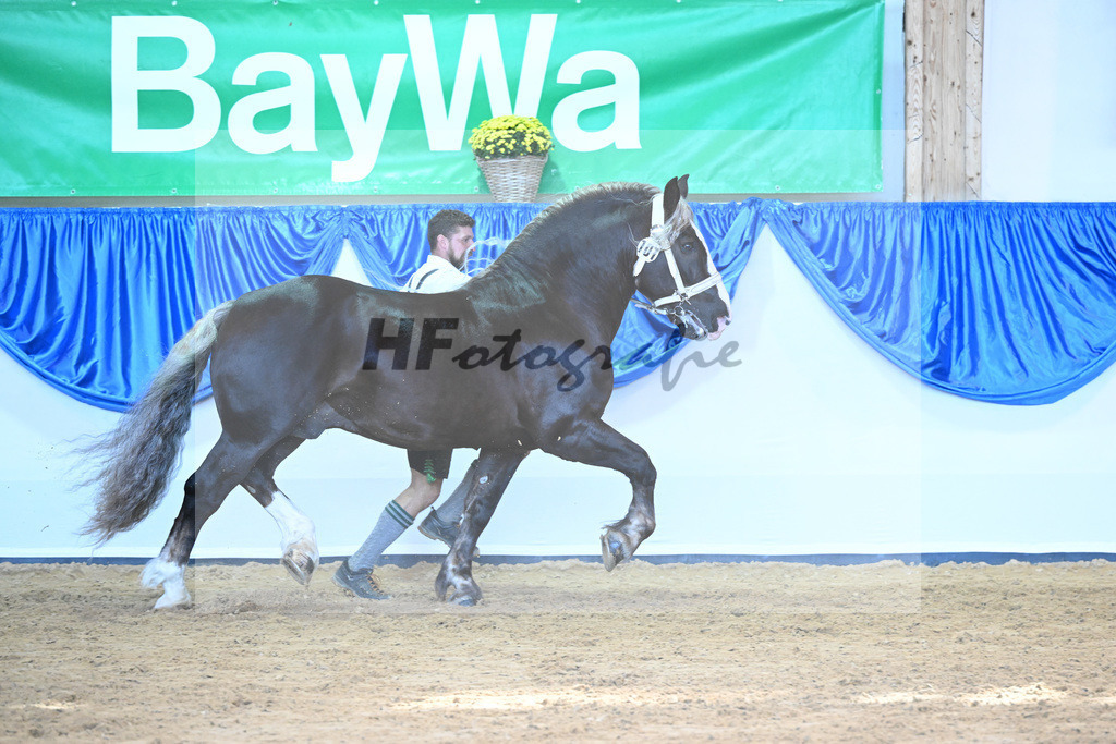 Kat-Nr. 101 Siox_Mayr_53220683 | hf-fotografie - Realisiert mit Pictrs.com