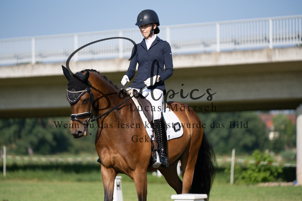 A7V09317 | Pferdefotograf