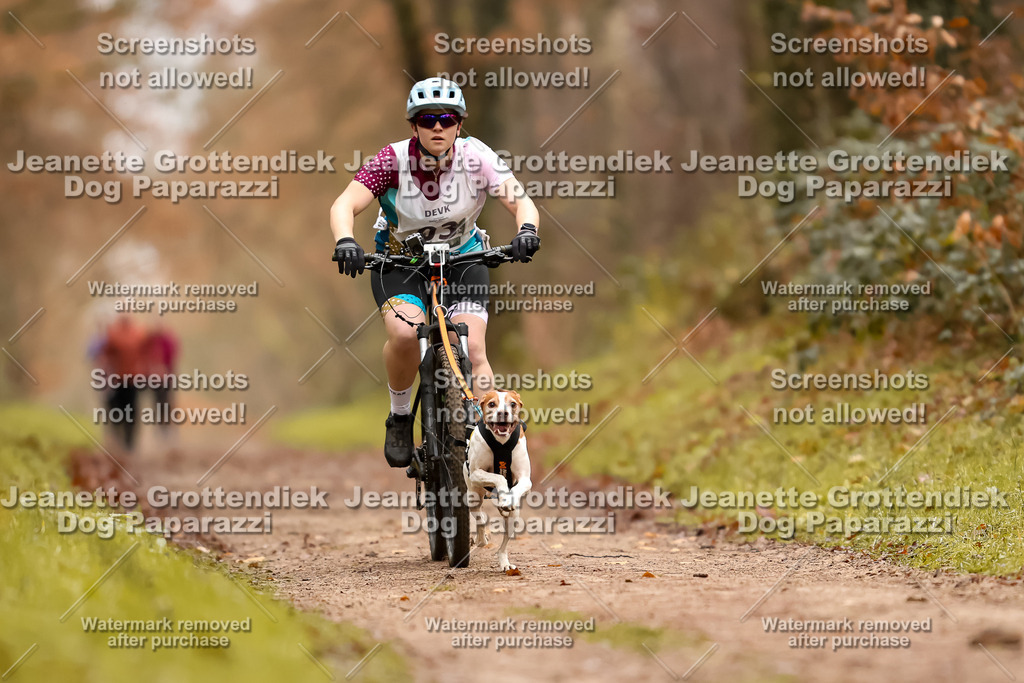 Dog Paparazzi - Speedhunter Mannheim  2025-5 | Dog Paparazzi Jeanette Grottendiek Fotografie & Videografie