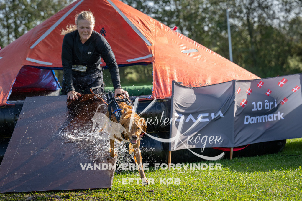 1148-92286 | kk-dogfotos