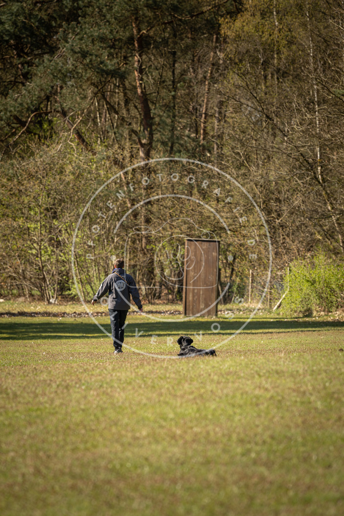Pfotenfotografie_DV3A0178 | Hundefotografie, Tierfotograf, Pfotenfotografie, Fotoshooting Hund, Hunde Portrait, Hundesport, Hundeportraits, Heideshooting, Hunde, Sportfotograf, Hundefotograf, Turnierhundsport, THS,  - Realisiert mit Pictrs.com