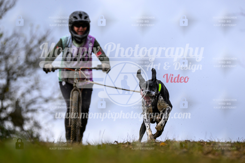 MompixPhotography_2OATB_SO_Scooter-42 | PayLife