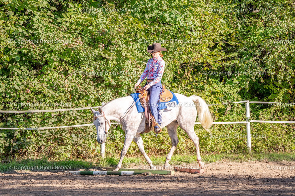SAL02564 | BS-foto
