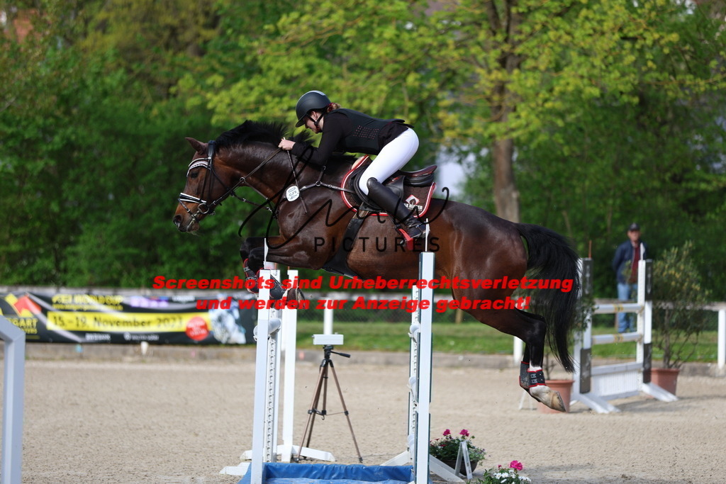 A40A2849 | lmwpictures - Realisiert mit Pictrs.com