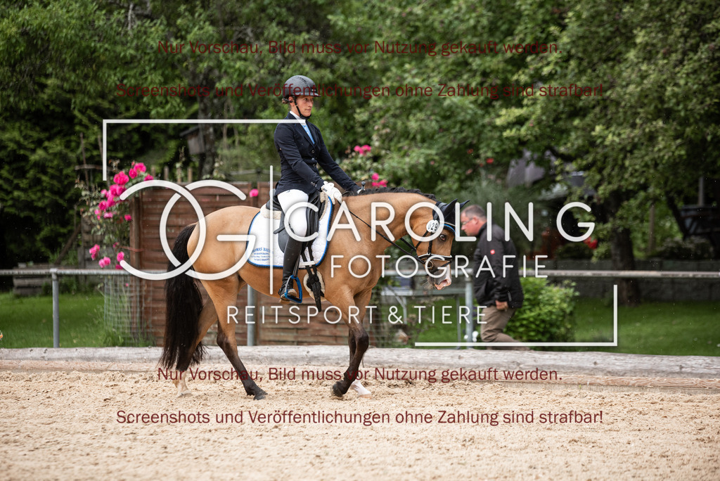 DSC_3156 | Turnierfotografin Carolin Gieschke,Reitsport Turnierfotografie Carolin G Fotografie | Turnierfotos aus Kirchheim/Teck, Esslingen, Stuttgart und dem Bodenseekreis