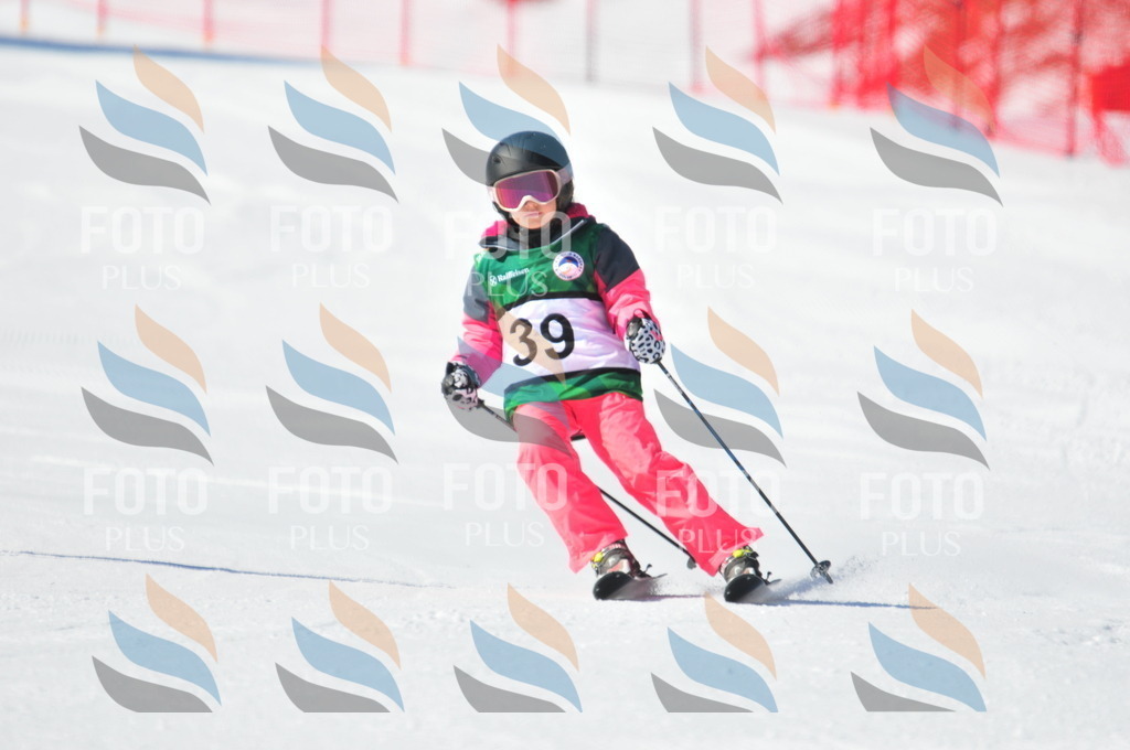 C2716 | holidayphoto