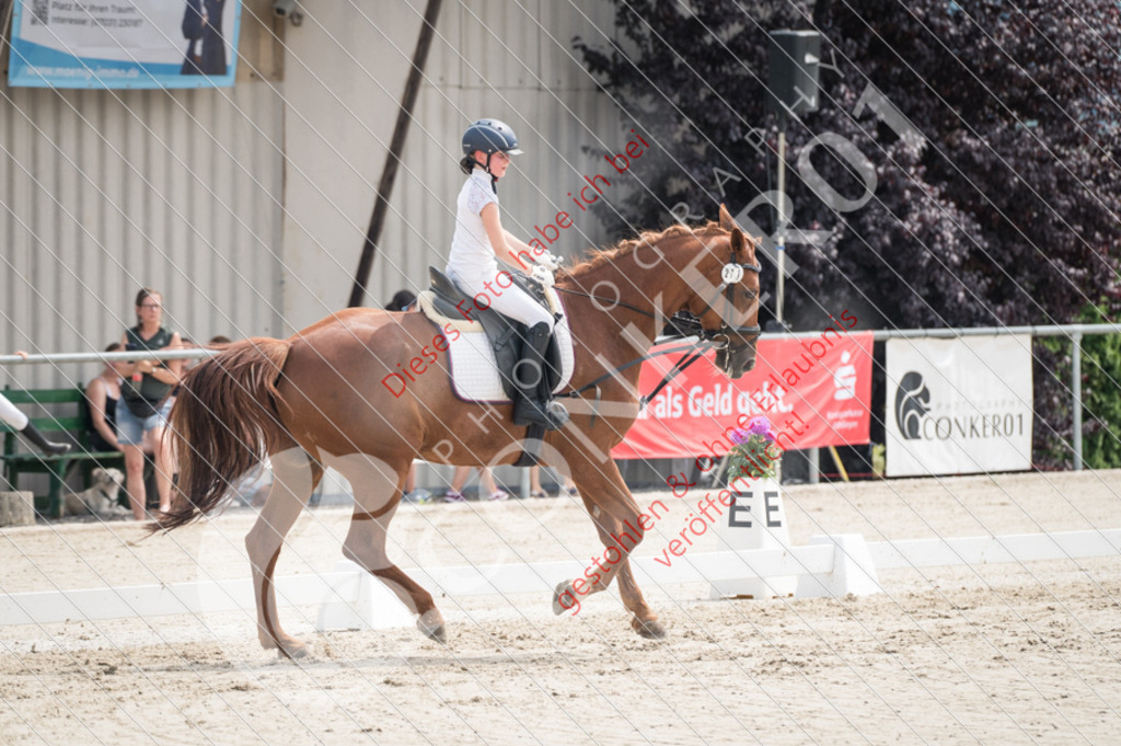 Z62_3589 | Sport-, Event- und Tierfotos in Profiqualität. Einfach auswählen, bestellen und herunterladen. Dein Moment – perfekt festgehalten.