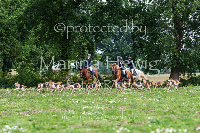 Jagd Perdoel 26 Sony-03609_MarinaHewig | Fotografie, FotoArt, PferdesportArt, Pferdesportfotografie, Landschaftsfotografie, Reisefotografie, Reise, Pferde - Realisiert mit Pictrs.com