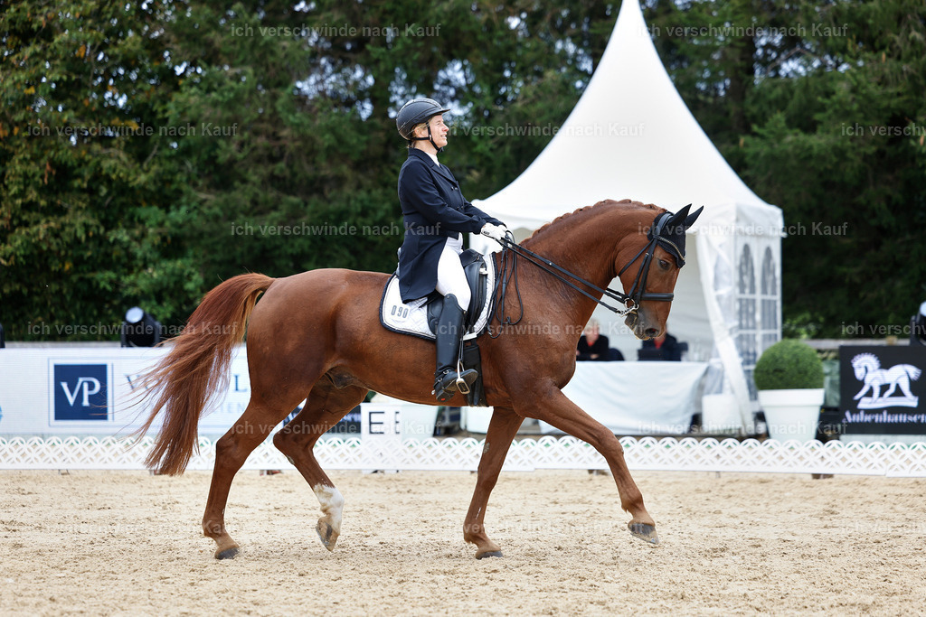6-090-AMATUER-DRESSUR S_  -StoibPH-3592 | working equitationturnier fotograf videograf stoibphotography marixx film working equitation deutschland reitsport turnierfotografie eventfotografie equestrian events