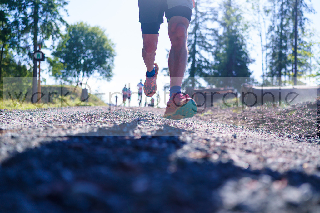 Rennsteiglauf Marathon 2025 | Marathon von Neuhaus/Rwg. nach Schmiedefeld/Rstg. am 17. Mai 2025