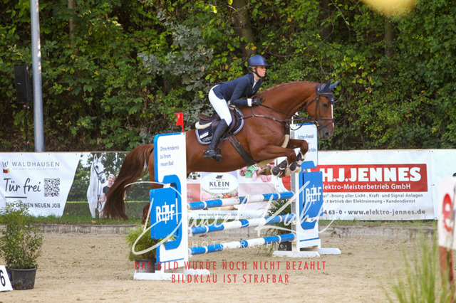 DKP42777 | Deine Turnierfotos vom Reitturnier online kaufen: Dressur, Springen & Siegerehrung. Professionelle Pferdefotografie aus dem Rheinland – als Download & Print.Alternative: Turnierfotograf für den Pferdesport: Finde deine Fotos von Dressur- und Springturnier
