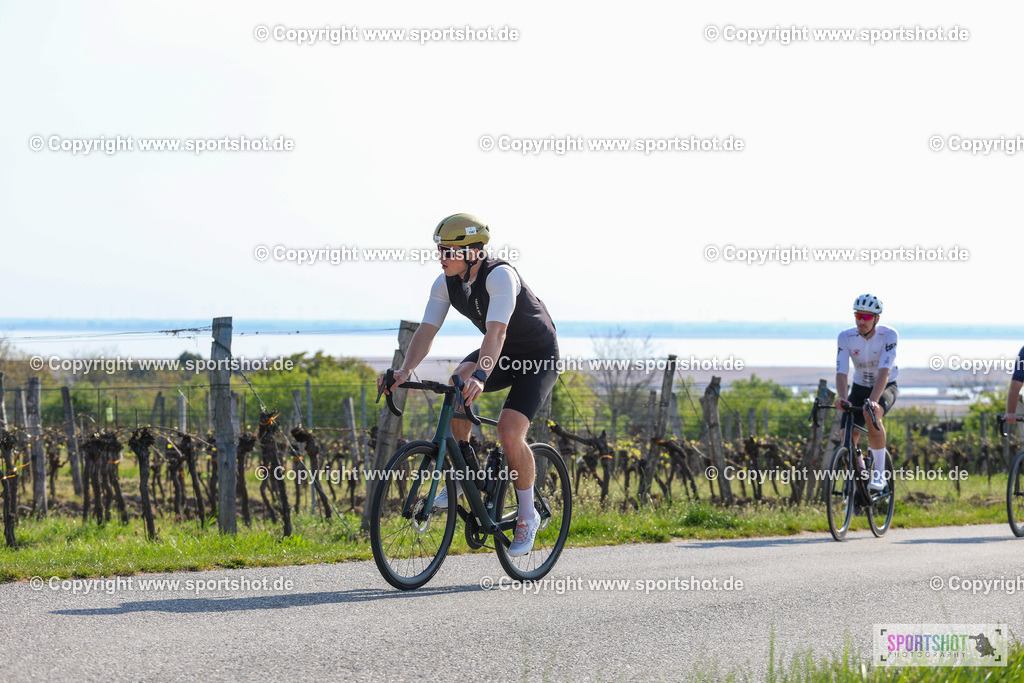 IMG_0654 | @sportshot_your_pictrs #yourpictures#roadtowm2029 #nrm #neusiedlerseeradmarathon #neusiedlersee #neusiedlerseetourismus #burgenland #mörbisch #nrm26 #burgenlandtourismus #voglundco #poweredbyburgenlandtourismus #radsport #rad #marathon #ucigranfondo #visitburgenland #ucigranfondoworldseries