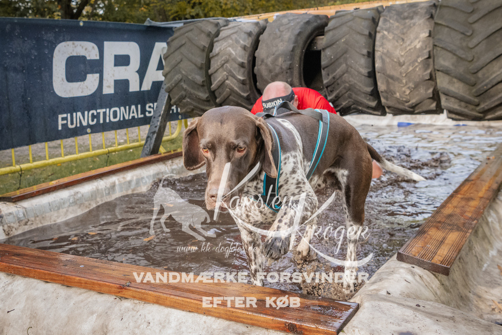 1443_ZZ94935 | kk-dogfotos